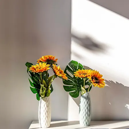 L'Aquila Home L'Aquila