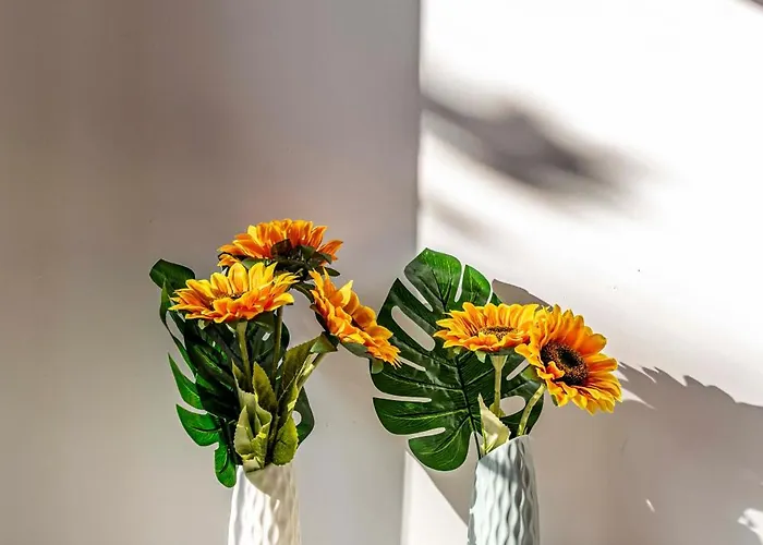 L'Aquila Home LʼAquila